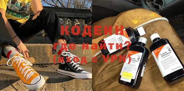 индика Ростов