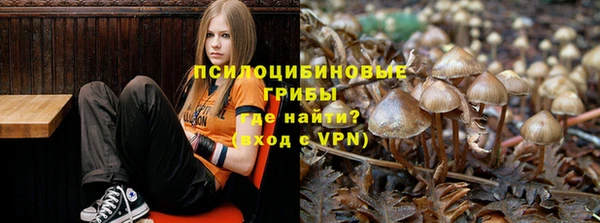 мдпв Белокуриха
