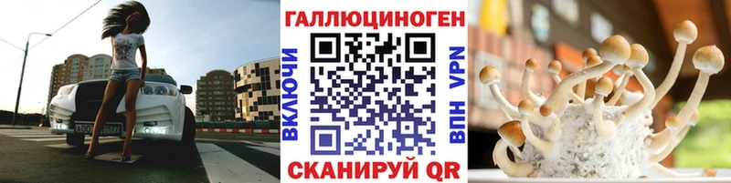 Псилоцибиновые грибы Psilocybe  что такое   Балей 